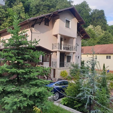 Vila Tisa Tismana Exteriör bild