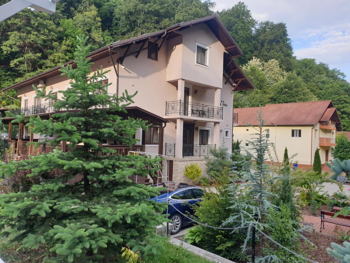 Vila Tisa Tismana Exteriör bild