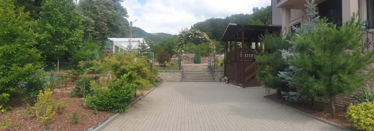 Vila Tisa Tismana Exteriör bild