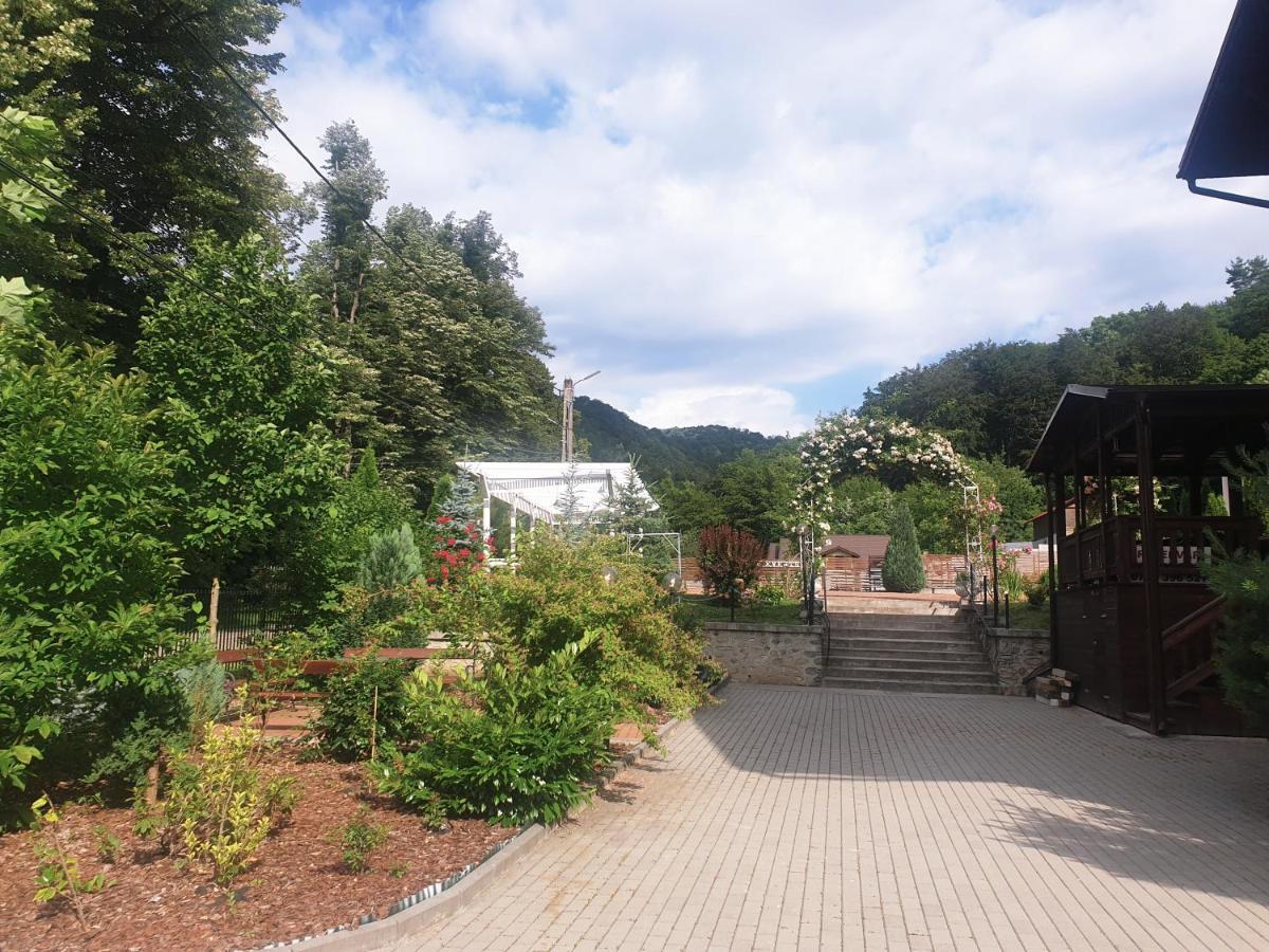 Vila Tisa Tismana Exteriör bild