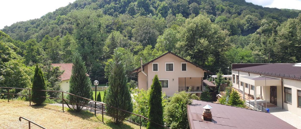 Vila Tisa Tismana Exteriör bild