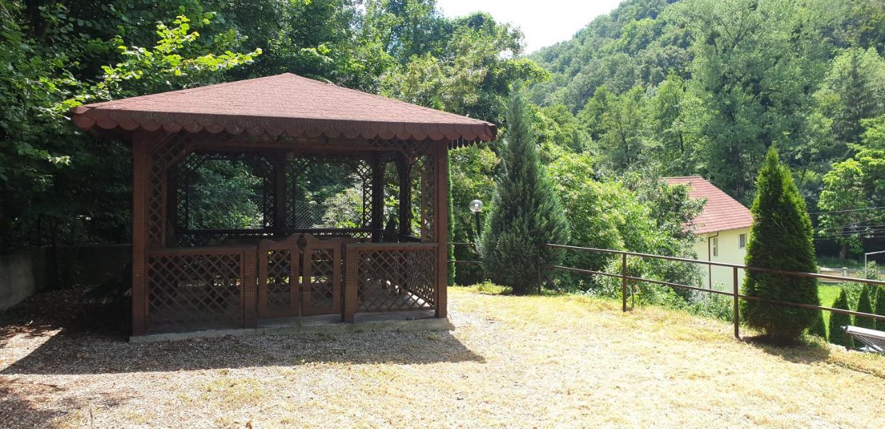 Vila Tisa Tismana Exteriör bild