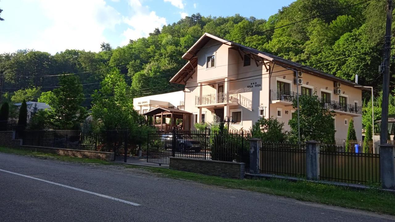 Vila Tisa Tismana Exteriör bild